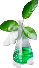plant in a beaker with green liquid