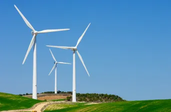 Renewable Energy Industry