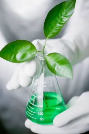 plant in a beaker with green liquid 