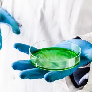 green liquid in a petri dish